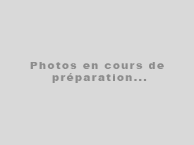 A vendre Mercedes Classe C à Vigneux-sur-Seine 91270